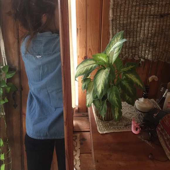 DENIM BUTTON DOWN TANK - Picture 2 of 4